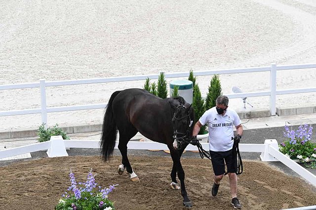 OLY-2020-DRESSAGE-JOG-7-24-21-1509-174-NICK- WAGMAN-DON JOHN-USA-DDEROSAPHOTO