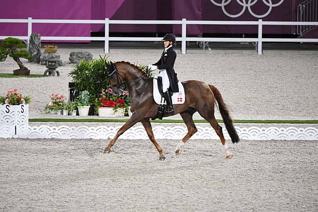 OLY-2020-DRESSAGE-GP DAY1-7-24-21-5456-118-CATHRINE DUFOUR-BOHEMIAN-DEN-DDEROSAPHOTO