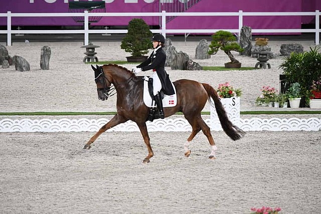 OLY-2020-DRESSAGE-GP DAY1-7-24-21-5458-118-CATHRINE DUFOUR-BOHEMIAN-DEN-DDEROSAPHOTO