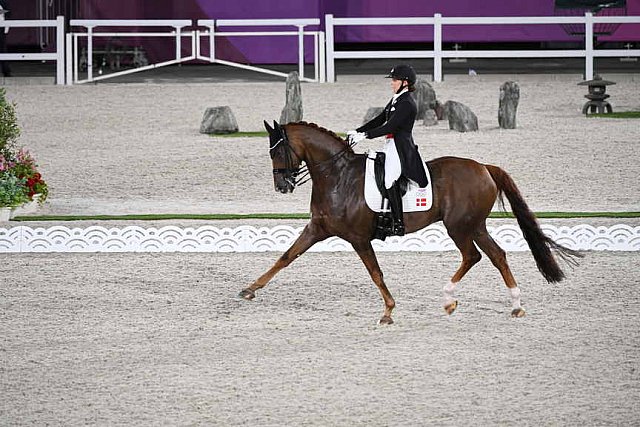 OLY-2020-DRESSAGE-GP DAY1-7-24-21-5460-118-CATHRINE DUFOUR-BOHEMIAN-DEN-DDEROSAPHOTO