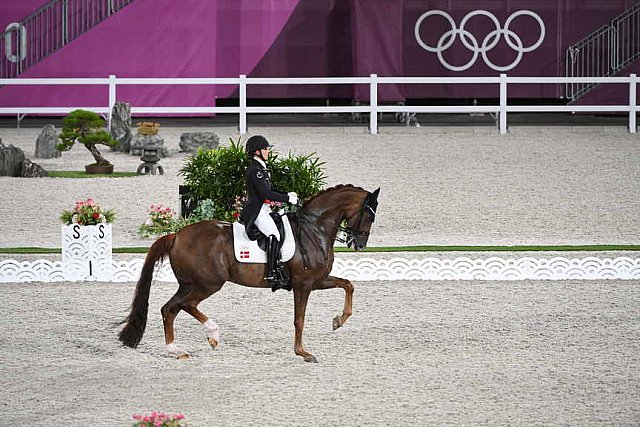 OLY-2020-DRESSAGE-GP DAY1-7-24-21-5619-118-CATHRINE DUFOUR-BOHEMIAN-DEN-DDEROSAPHOTO