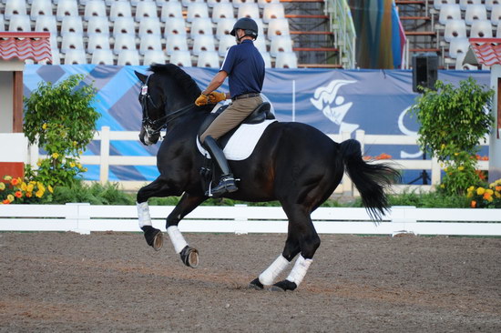 PanAmGames-MX-10-15-11-5221-SteffenPeters-WeltonsMagic-DDeRosaPhoto.JPG