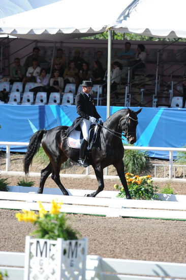 PanAmGames-MX-10-16-11-5842-SteffenPeters-WeltonsMagic-DDeRosaPhoto.JPG