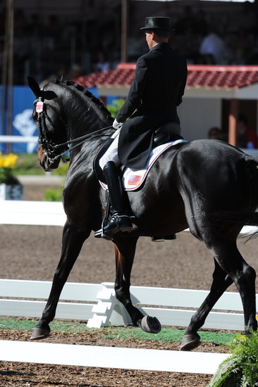 PanAmGames-MX-10-16-11-5846-SteffenPeters-WeltonsMagic-DDeRosaPhoto.JPG