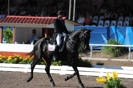 PanAmGames-MX-10-16-11-5863-SteffenPeters-WeltonsMagic-DDeRosaPhoto.JPG