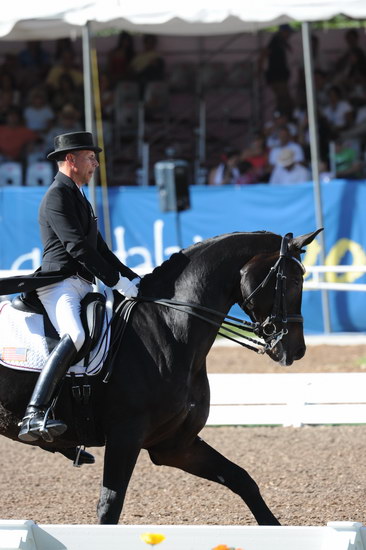 PanAmGames-MX-10-16-11-6021-SteffenPeters-WeltonsMagic-DDeRosaPhoto.JPG