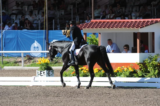 PanAmGames-MX-10-16-11-6062-SteffenPeters-WeltonsMagic-DDeRosaPhoto.JPG