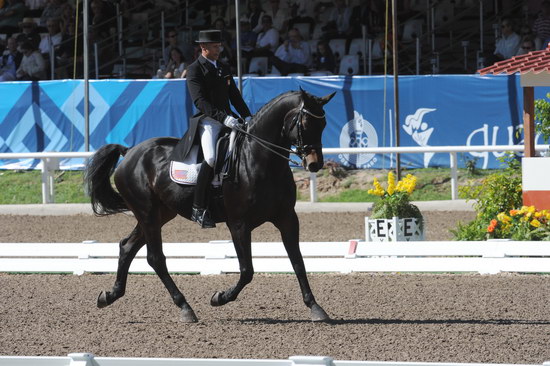 PanAmGames-MX-10-17-11-8758-SteffenPeters-WeltinosMagic-USA-DDeRosaPhoto.JPG