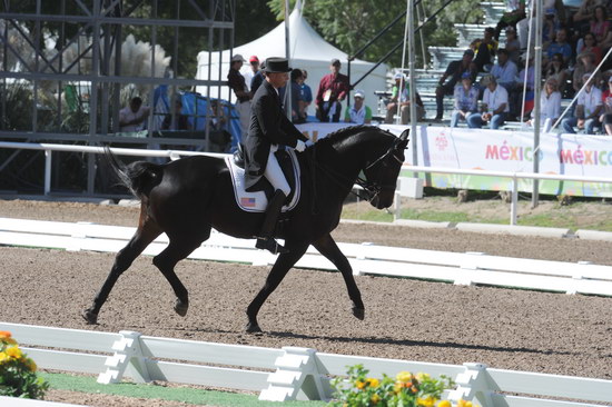 PanAmGames-MX-10-17-11-8788-SteffenPeters-WeltinosMagic-USA-DDeRosaPhoto.JPG