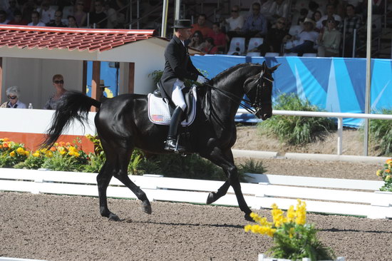 PanAmGames-MX-10-17-11-8893-SteffenPeters-WeltinosMagic-USA-DDeRosaPhoto.JPG