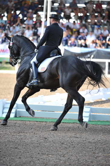 PanAmGames-MX-10-19-11-7585-DRE-IND-SteffenPeters-WeltinosMagic-USA-DDeRosaPhoto.JPG