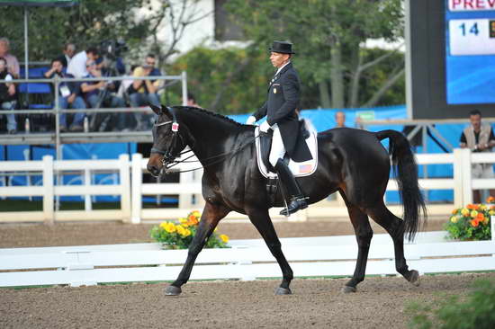 PanAmGames-MX-10-19-11-7695-DRE-IND-SteffenPeters-WeltinosMagic-USA-DDeRosaPhoto.JPG