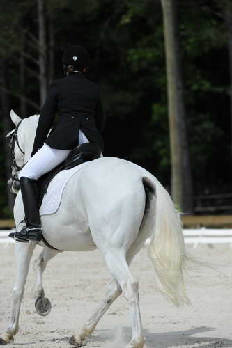 So8ths-5-4-12-Dressage-0769-KaylinMedlin-Watch-Me-Now-DDeRosaPhoto