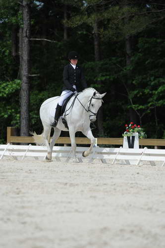 So8ths-5-4-12-Dressage-0777-KaylinMedlin-Watch-Me-Now-DDeRosaPhoto