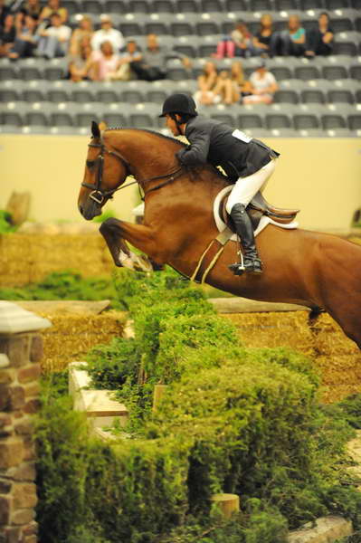 PeterPletcher-USHJA-Derby-8-21-10-Rnd2-DER1_9717-NLFShakespeare-DDeRosaPhoto.JPG