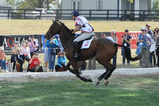 WEG2-10-2-10-EV-XX-5606-ImperialCavalier-MaryKing-DDeRosaPhoto