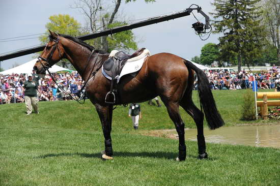 Rolex-4-28-12-XC-8113-LucyJackson-KilcoltrimAmbassador-NZL-DDeRosaPhoto