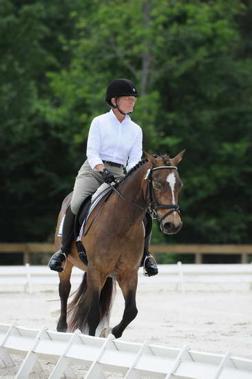 So8ths-5-4-12-Dressage-1235-DanaNorquist-FoothillsWaterman-DDeRosaPhoto