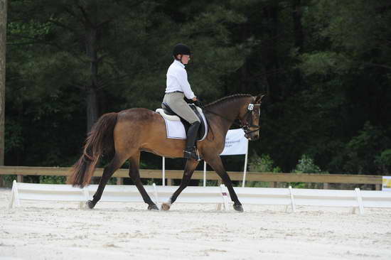 So8ths-5-4-12-Dressage-1245-DanaNorquist-FoothillsWaterman-DDeRosaPhoto