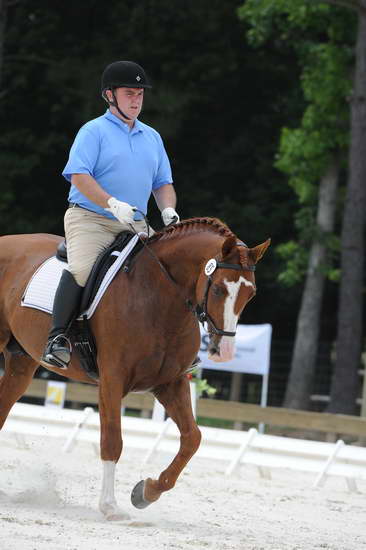 So8ths-5-4-12-Dressage-1326-MichaelLindsey-Hilife-DDeRosaPhoto