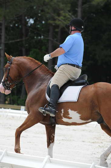 So8ths-5-4-12-Dressage-1347-MichaelLindsey-Hilife-DDeRosaPhoto