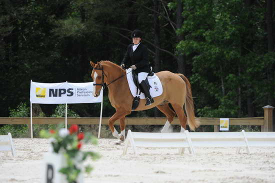 So8ths-5-4-12-Dressage-1364-SarahZimmer-MardiGras-DDeRosaPhoto