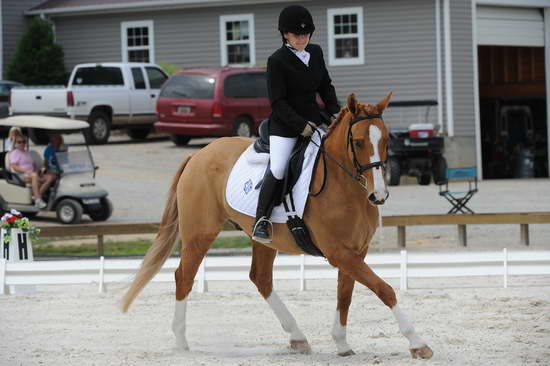 So8ths-5-4-12-Dressage-1372-SarahZimmer-MardiGras-DDeRosaPhoto