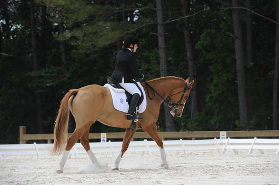 So8ths-5-4-12-Dressage-1374-SarahZimmer-MardiGras-DDeRosaPhoto