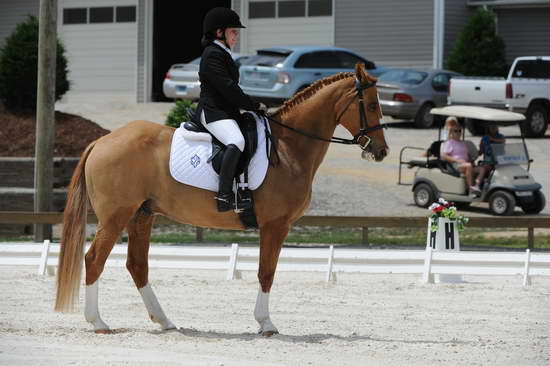 So8ths-5-4-12-Dressage-1393-SarahZimmer-MardiGras-DDeRosaPhoto