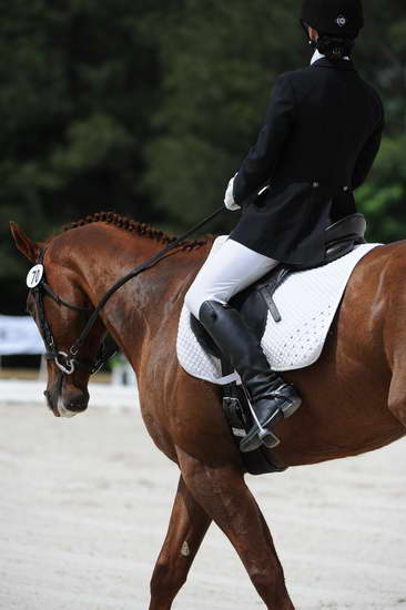 So8ths-5-4-12-Dressage-0885-KelseyBriggs-TheItalianJob-DDeRosaPhoto