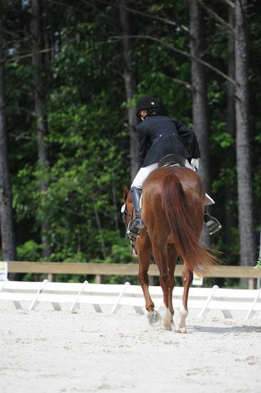 So8ths-5-4-12-Dressage-0890-KelseyBriggs-TheItalianJob-DDeRosaPhoto