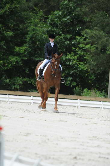 So8ths-5-4-12-Dressage-0924-KristinNeill-BigBonesBailey-DDeRosaPhoto