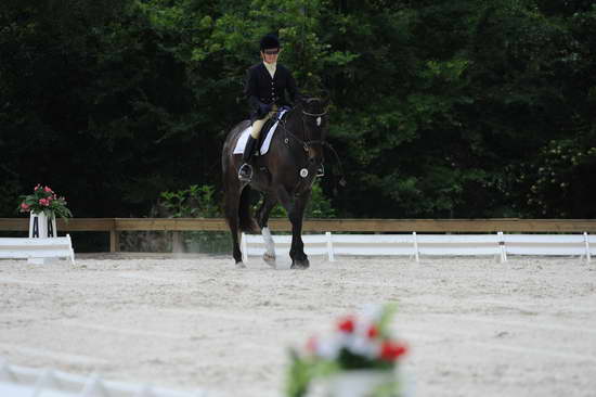 So8ths-5-4-12-Dressage-1139-SarahMorton-Womble-DDeRosaPhoto