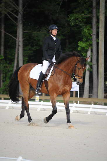 So8ths-5-4-12-Dressage-0313-BevWarner-Arnold-DDeRosaPhoto