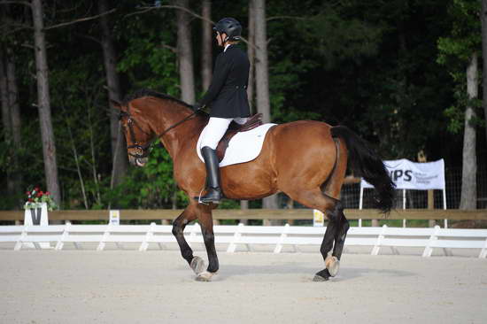 So8ths-5-4-12-Dressage-0322-BevWarner-Arnold-DDeRosaPhoto