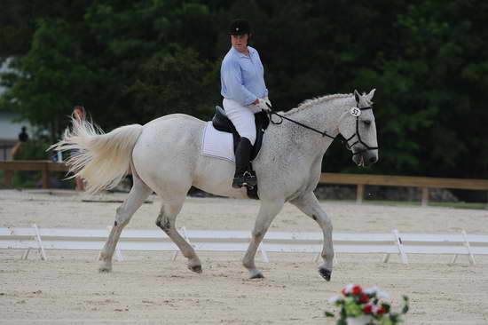 So8ths-5-4-12-Dressage-0369-MichaelLindsey-OnlyToYou-DDeRosaPhoto