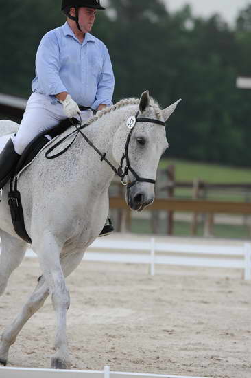 So8ths-5-4-12-Dressage-0372-MichaelLindsey-OnlyToYou-DDeRosaPhoto