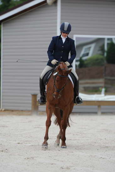 So8ths-5-4-12-Dressage-0384-KerryTracey-BourbonGingerbear-DDeRosaPhoto