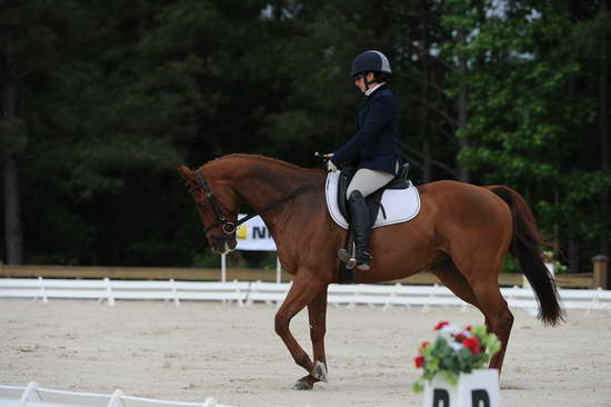 So8ths-5-4-12-Dressage-0397-KerryTracey-BourbonGingerbear-DDeRosaPhoto