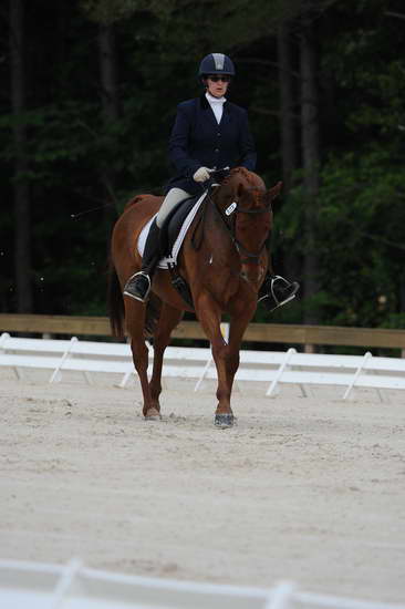 So8ths-5-4-12-Dressage-0402-KerryTracey-BourbonGingerbear-DDeRosaPhoto