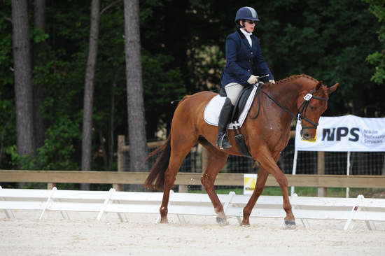 So8ths-5-4-12-Dressage-0407-KerryTracey-BourbonGingerbear-DDeRosaPhoto