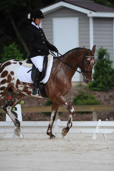 So8ths-5-4-12-Dressage-0474-JordanLambert-RioWild-DDeRosaPhoto