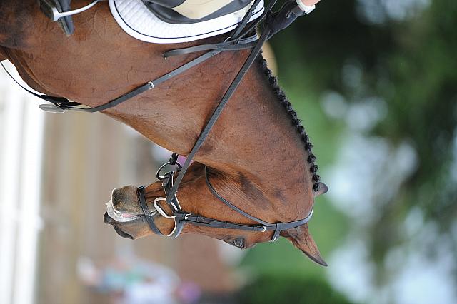 So8ths-5-4-12-Dressage-0688-AllieKeresman-MysticDora-DDeRosaPhoto