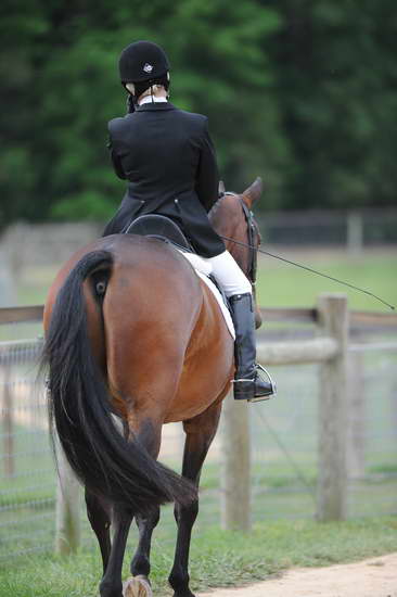 So8ths-5-4-12-Dressage-0699-DDeRosaPhoto