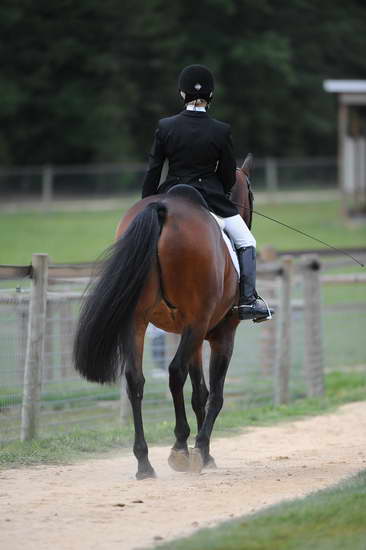 So8ths-5-4-12-Dressage-0700-DDeRosaPhoto