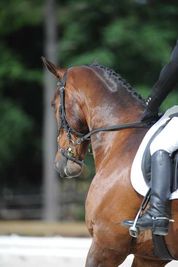 So8ths-5-4-12-Dressage-0738-HeidiBeaumont-SouthBoundary-DDeRosaPhoto