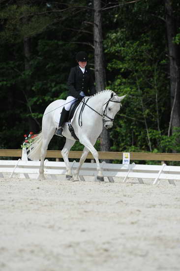 So8ths-5-4-12-Dressage-0778-KaylinMedlin-Watch-Me-Now-DDeRosaPhoto