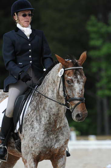 So8ths-5-4-12-Dressage-0822-RisaMoon-LilyB-DDeRosaPhoto