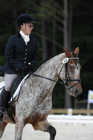 So8ths-5-4-12-Dressage-0824-RisaMoon-LilyB-DDeRosaPhoto