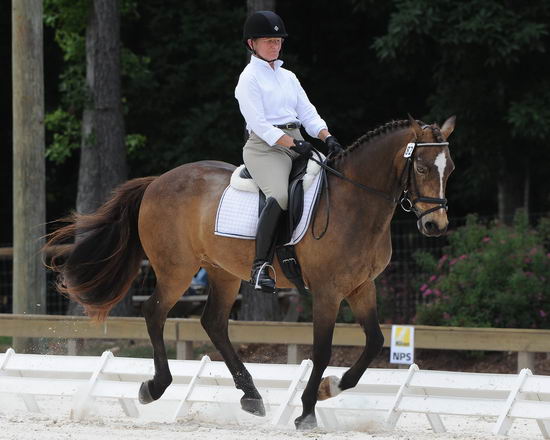 So8ths-5-4-12-Dressage-1250-DanaNorquist-FoothillsWaterman-DDeRosaPhoto